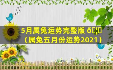 5月属兔运势完整版 🦈 （属兔五月份运势2021）